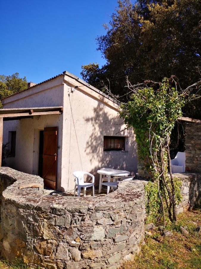 Campita Campsite